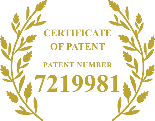 特許番号7219981